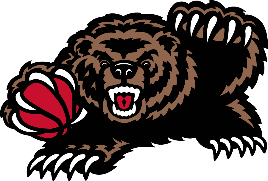 Memphis Grizzlies 2001-2004 Alternate Logo fabric transfer